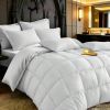 White 2-Piece & 3-Piece Bedding Comforter Set â€“ Twin/Queen/King â€“ Soft Microfiber